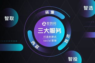 智鵲網 定制專屬微表單，助力企業完成精準營銷